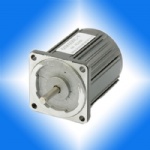 6W AC MOTOR