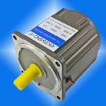 25W AC MOTOR