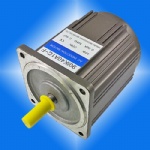 40W AC MOTOR