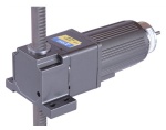 Toeque gear motor
