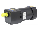 Toeque gear motor