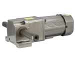 linear type motor