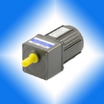 15W 70mm AC INDUCTION MOTOR