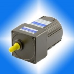 40W 90mm AC INDUCTION MOTOR