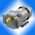 250W 100MM ACINDUCTIONGEARMOTOR