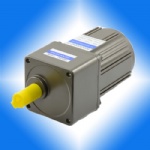 25W 80mm   AC INDUCTION GEAR MOTOR