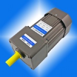 60W 90mm  AC INDUCTION GEAR MOTOR