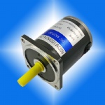 ZY-55  DC MOTOR